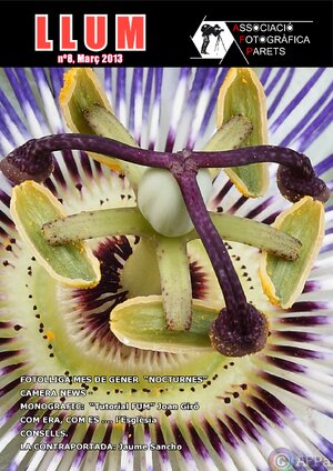 2013_8_Revista_LLUM_AFP