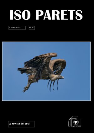 2023_33_Revista_ISO_AFP