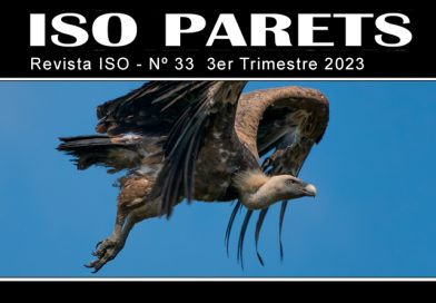 Revista ISO – Nº 33 3er Trimestre 2023